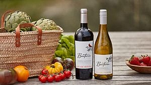 什么是气候中性葡萄酒?